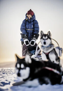 Hestra Sirius Polar Mitt -Hestra 280 dd43b45d0c e1a7201 original