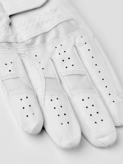 Hestra Leather Direct 5-finger -Hestra 289 d25b877d3b 38850 000 3 original