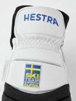 Hestra Gripen GS Mitt 10 Hestra Gripen GS Mitt -Hestra 447 b07a364800 30091 000440 4 original