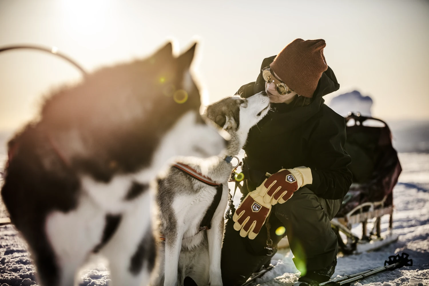 Hestra Sarek Ecocuir 5-finger 10 Hestra Sarek Ecocuir 5-finger - Image 8