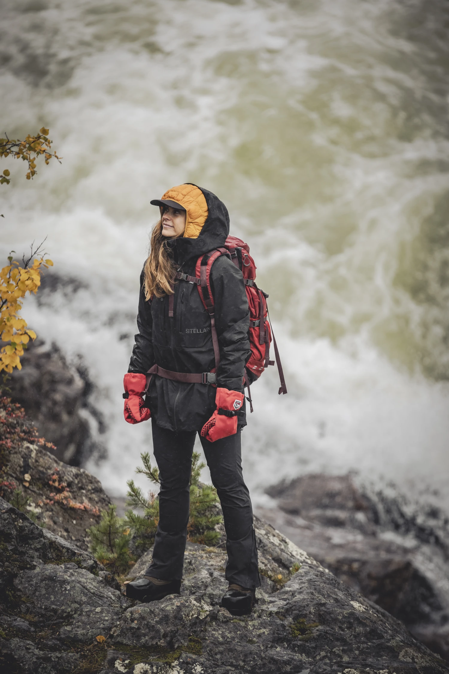 Hestra Fjellvotten Sr. Mitt 6 Hestra Fjellvotten Sr. Mitt - Image 4