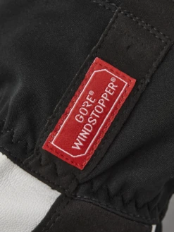 Hestra Windstopper Action Coach 5-finger -Hestra 659 5f99c2fec0 37400 100 2 original